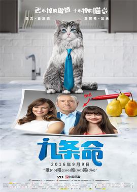 色综合视频在线观看